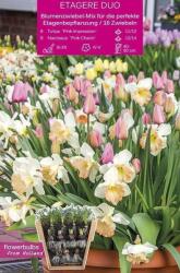 kiepenkerl Etagere Duo virághagyma összeállítás