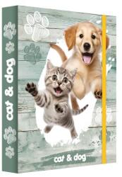 Junior A4 Jumbo MAX jegyzetfüzet doboz - Macska és kutya