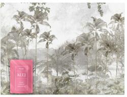 Muralo Fotótapéta Nappaliba Tropusi Erdő Absztrakció Pálmák Beton Tájkép 368x254 (MF-10000839-V8)