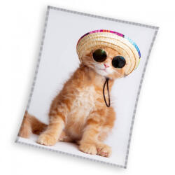 Carbotex Cicás Cool Kitty coral fleece polár takaró 150x200cm (CBX236011KNL)