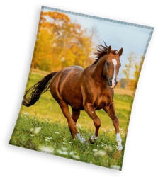  Lovas Gallop coral fleece polár takaró 150x200cm (CBX231108KNL) - szukits