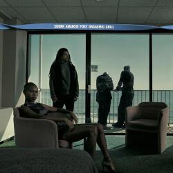 BERTUS Skunk Anansie - Post Orgasmic Chill (1lp, Turquoise Coloured Vinyl) (1g8783)