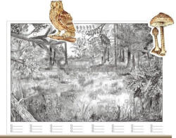 Stiefel Az erdő életközössége (applikációs készlet)