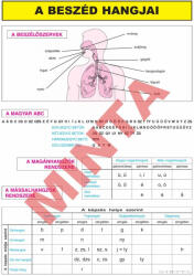 Comenius A beszéd hangjai