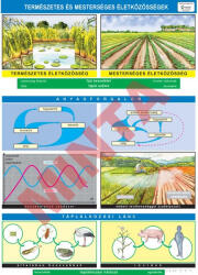 Comenius Természetes és mesterséges életközösségek