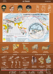 Stiefel Az őskor, iskolai történelmi oktatótabló - stiefelbolt - 39 800 Ft