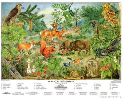 Stiefel Az erdő életközössége faléces tabló