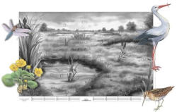 Stiefel A mocsár életközössége applikációs készlet