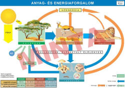 Comenius Anyag és energiaforgalom