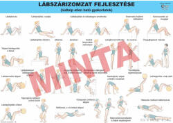 Comenius Lábszárizomzat fejlesztése (lúdtalp ellen ható gyakorlatok)