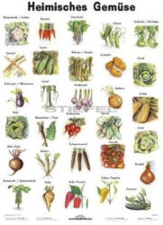 Stiefel Heimische Gemüse
