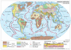 Stiefel Szerkezeti morfológia