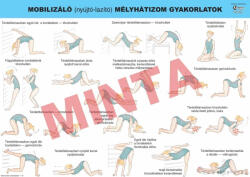 Comenius Mobilizáló (nyújtó, - lazító) mélyhátizom gyakorlatok