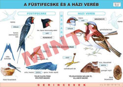 Comenius A házi veréb és a füstifecske