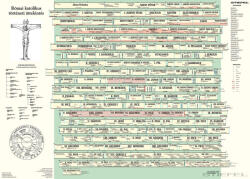Stiefel Római katolikus egyháztörténeti áttekintés oktatótabló - stiefelbolt - 49 990 Ft