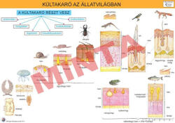 Comenius Kültakaró az állatvilágban