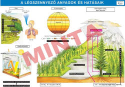 Comenius Légszennyező anyagok és hatásaik