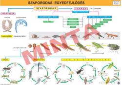Comenius Szaporodás, egyedfejlődés