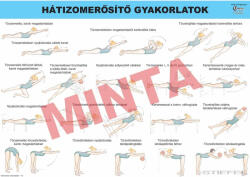 Comenius Hátizom erősítő gyakorlatok