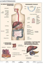 Stiefel Emésztés és egészséges táplálkozás DUO