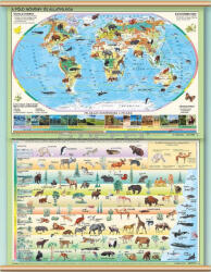 Stiefel A Föld növény és állatvilága (100 x 140 cm)