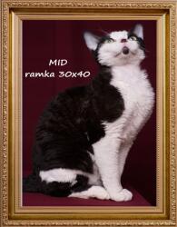  Képkeret Kész Képek Fotók Keretezéséhez Fa 4 Tömeg 30X40 45 mm (5904996591441)