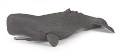 Universul acvatic PAPO FIGURINA CASALOT (Papo56036) Figurina