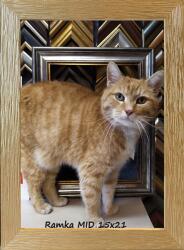 Marek & Darek Klasszikus képkeret falra és asztalra, 15x21 cm, fa, arany színű (5904996596293)