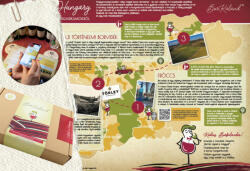 Borkaland BorKaland® élménydoboz & társas - BorKaland® Duó csomagajánlat