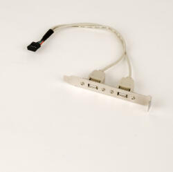 Gembird USB GEMBIRD кабел сплитер USB 2.0 (T) към 2 x USB 2.0 (M) 25 см, прехвърля 1 USB от вътрешен компютър на външен брак "CCUSBRECEP (CCUSBRECEPTACLE)