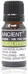 Cotomag Ulei Esential de Eucalipt - 10 ml