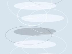 Dc-fix Findus prémium statikus ablakfólia 45x50 cm (2160019-50)