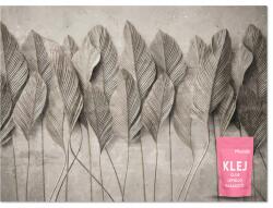 Muralo Fotótapéta Levelek Virágok Beton Tapéta Falra Hálószobába Nappaliba 368x254 (MF-10001520-V8)