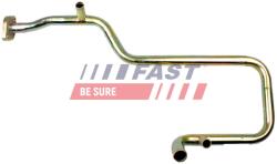 FAST Cuplaj conducta lichid racire FAST FT61013