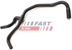 FAST Cuplaj conducta lichid racire FAST FT61038