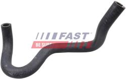 FAST Cuplaj conducta lichid racire FAST FT61347