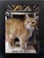 Marek & Darek Klasszikus fali és fali képkeret 15x21 fa 2cm fekete (5904996595319)