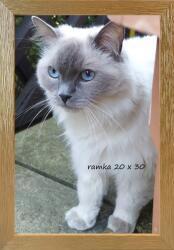 Marek & Darek Klasszikus képkeret falra és asztalra, 20x30 cm, fa, arany színű (5904996596309)