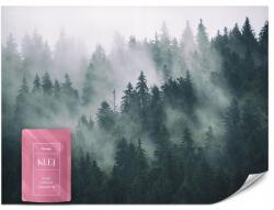 Muralo Fotótapéta Nappaliba Hálószobába Erdő Ködben Tájkép Természet 368x254 (MF_119_V8)