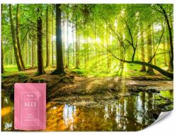 Muralo Fotótapéta Nappaliba Hálószobába Erdő Természet Folyó Táj Fák 3D 368x254 (MF-3914-V8)