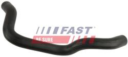 FAST Cuplaj conducta lichid racire FAST FT61977