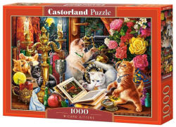 Castorland Varázsló cicák - 1000 (C-104857-2)