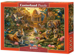 Castorland Tigrisek Paradicsoma - 1000 (C-105199-2)