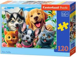 Castorland Kiskedvenc szelfi - 120 (B-13609-1)