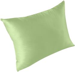 Green Future Future Green, Bambuszpárna, 50 x 70 cm, Zöld