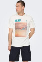 Only & Sons Only & Sons, Organikuspamut póló, Halvány narancssárga, Törtfehér, XL (22029454-CLOUD-DANCER-HEATWAVE-XL)