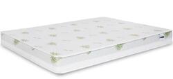 TED Aloe Memory Matrac, 19 cm, 164x190 cm