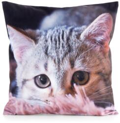 Eurofirany Dekoratív párnahuzat ANIMAL 45x45 Eurofirany szürke világosszürke murphy macska (464116)