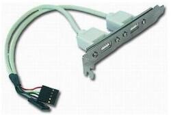 Gembird Adaptor USB Gembird 2x USB, Bulk (CCUSBRECEPTACLE)