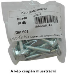  Kapupánt csavar DIN 603, 4.8 galvanikusan horganyzott, M6x30 (10 db) (ZIP331) - pepita